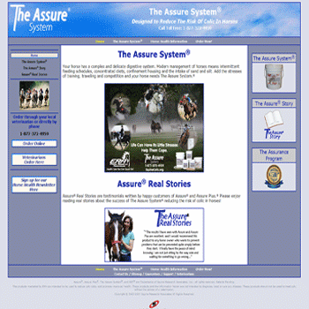 Website Design